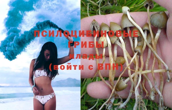 альфа пвп Нефтегорск
