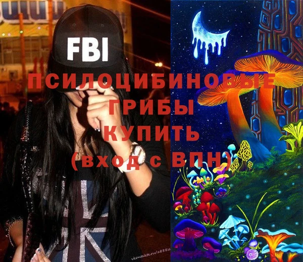 первитин Нея