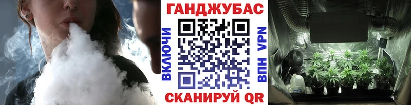Конопля SATIVA & INDICA  маркетплейс как зайти  Порхов  что такое наркотик 